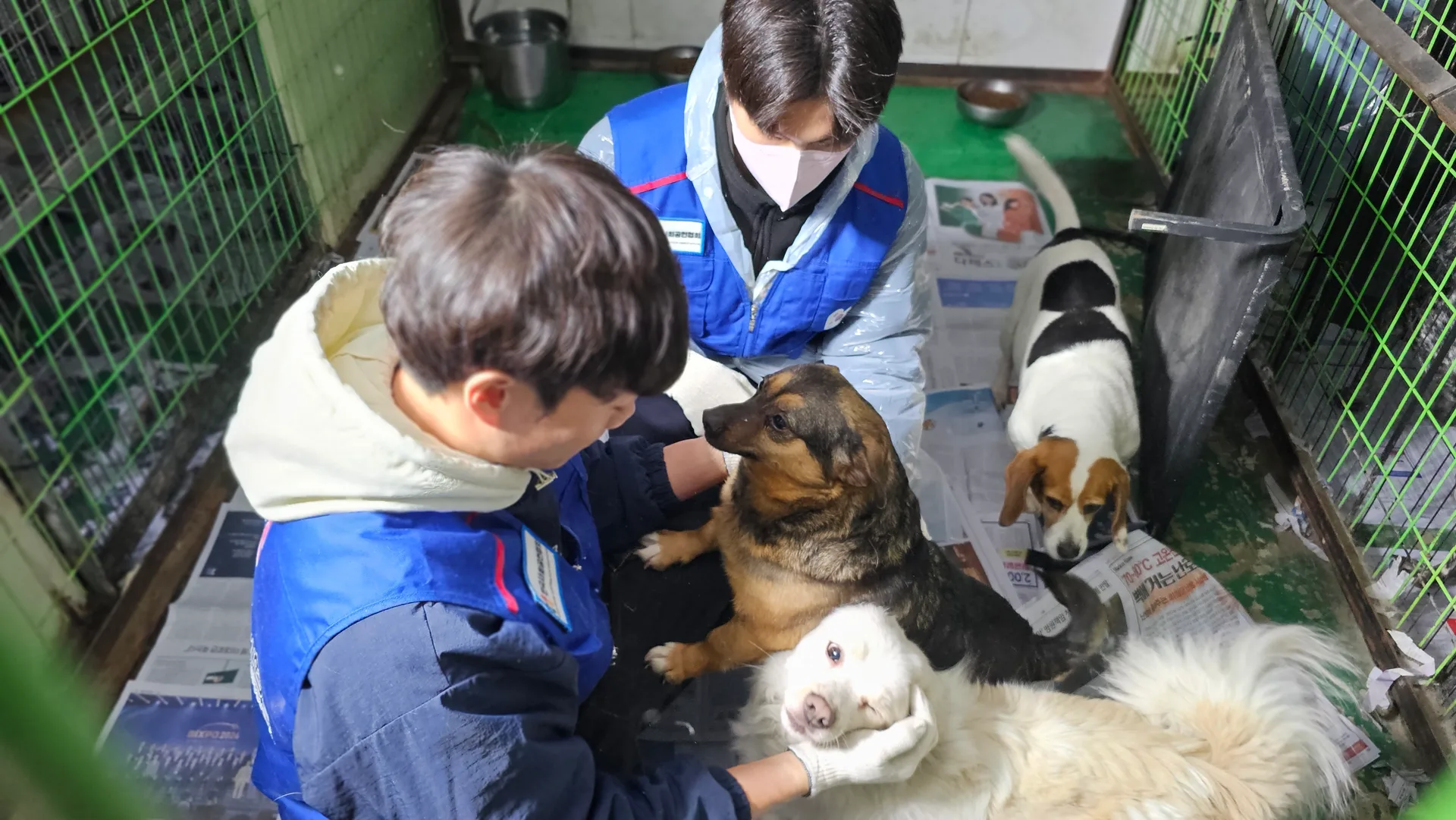 임직원이 함께 준비하는 캠페인 현장
